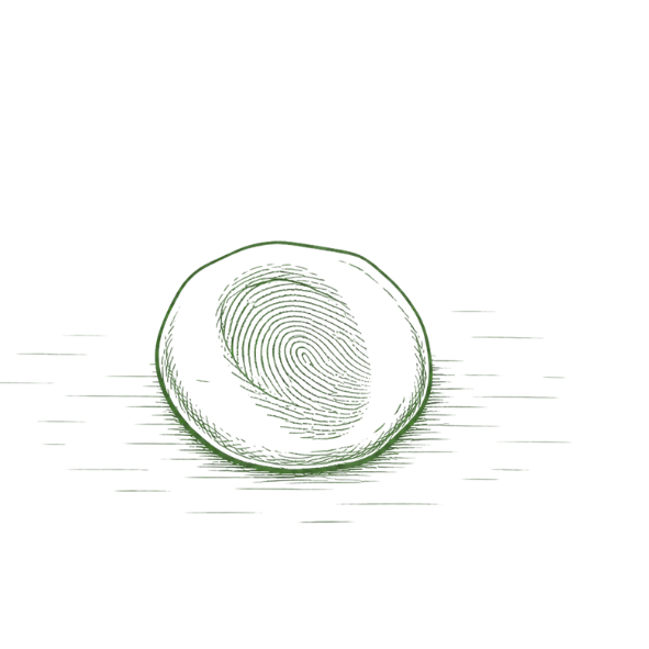 Illustration af fingeraftryk afsat i specialvoks til fremstilling af et personligt fingeraftryksvedhæng.